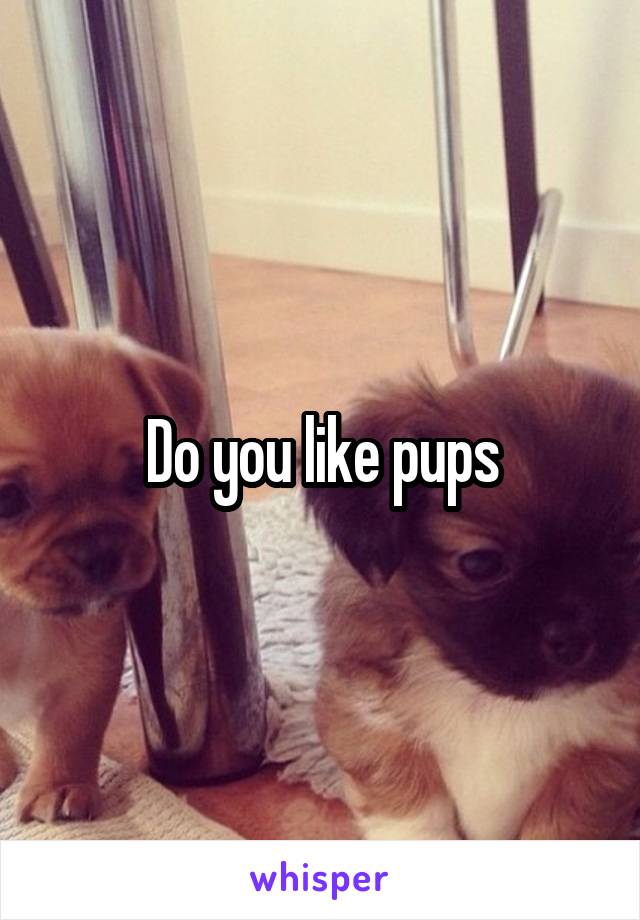 Do you like pups