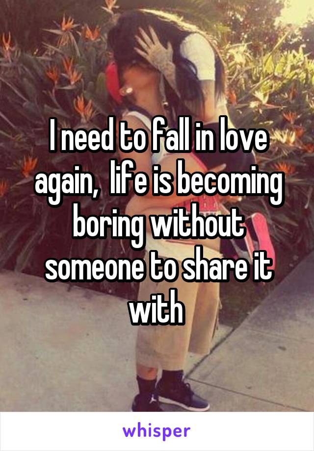 I need to fall in love again,  life is becoming boring without someone to share it with 