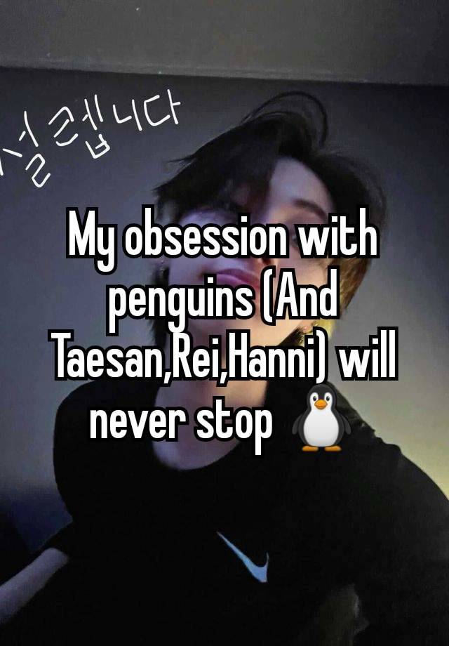 My obsession with penguins (And Taesan,Rei,Hanni) will never stop 🐧