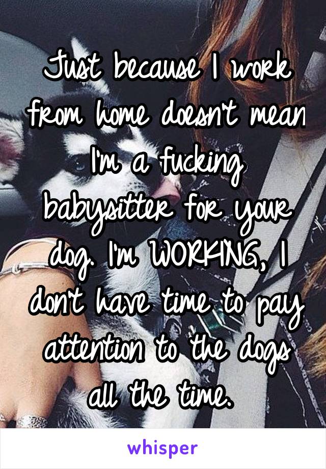 Just because I work from home doesn't mean I'm a fucking babysitter for your dog. I'm WORKING, I don't have time to pay attention to the dogs all the time. 