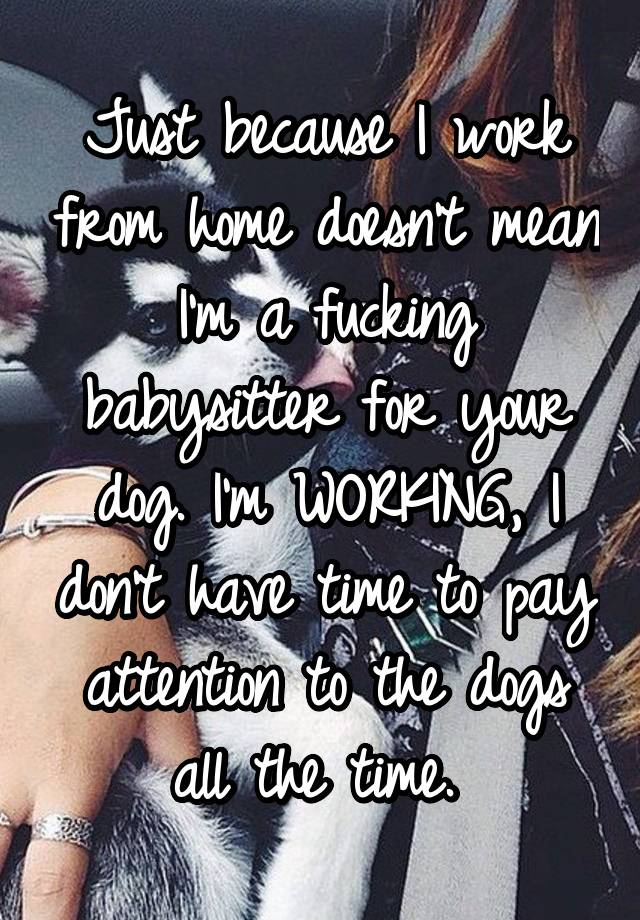 Just because I work from home doesn't mean I'm a fucking babysitter for your dog. I'm WORKING, I don't have time to pay attention to the dogs all the time. 