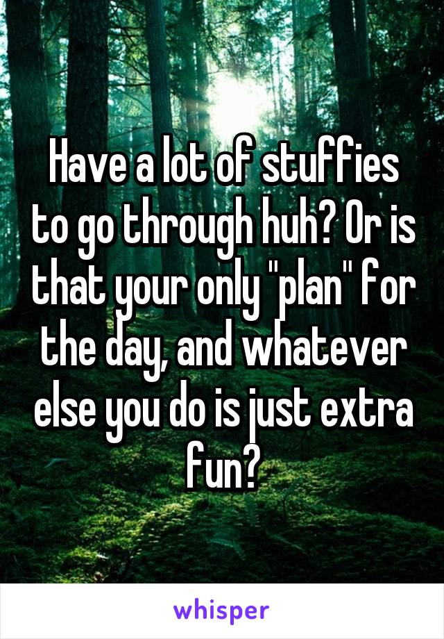 Have a lot of stuffies to go through huh? Or is that your only "plan" for the day, and whatever else you do is just extra fun?