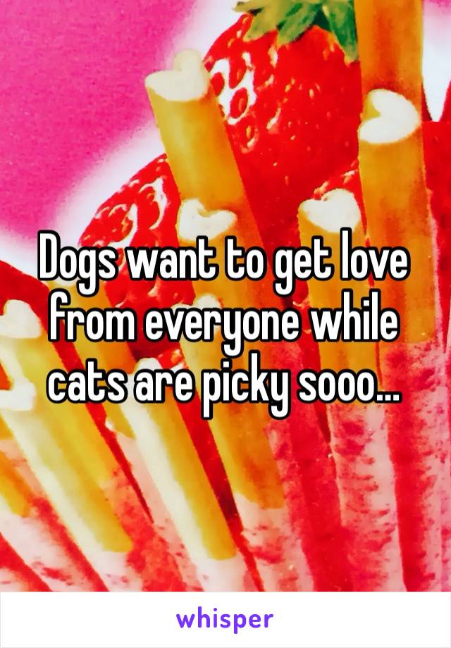 Dogs want to get love from everyone while cats are picky sooo… 