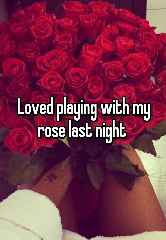 Loved playing with my rose last night 