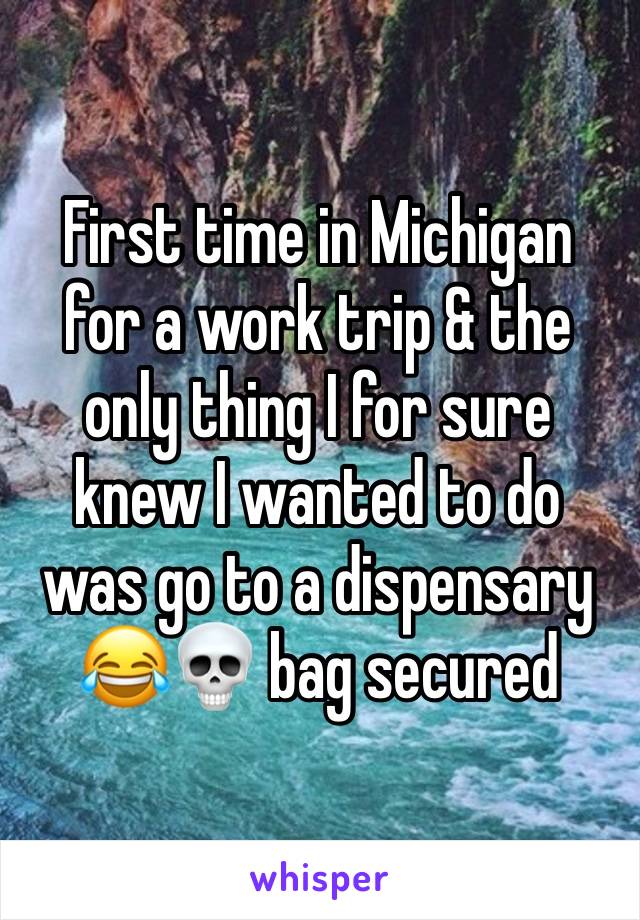 First time in Michigan for a work trip & the only thing I for sure knew I wanted to do was go to a dispensary 😂💀 bag secured 