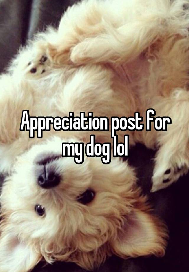 Appreciation post for my dog lol