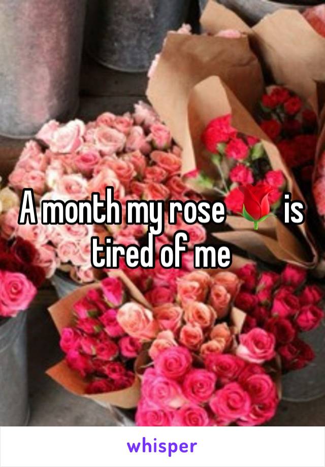 A month my rose 🌹 is tired of me 