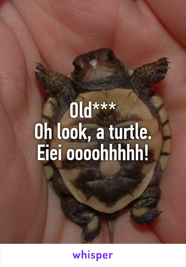 Old***
Oh look, a turtle.
Eiei oooohhhhh!