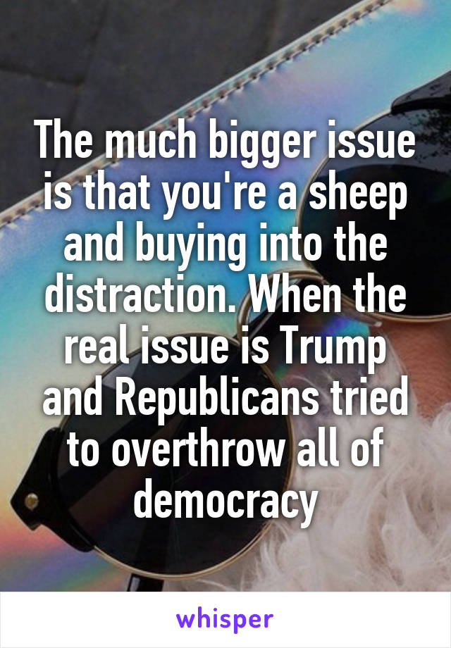 The much bigger issue is that you're a sheep and buying into the distraction. When the real issue is Trump and Republicans tried to overthrow all of democracy