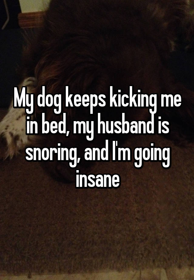 My dog keeps kicking me in bed, my husband is snoring, and I'm going insane
