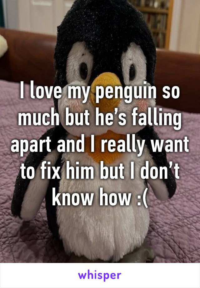 I love my penguin so much but he’s falling apart and I really want to fix him but I don’t know how :(