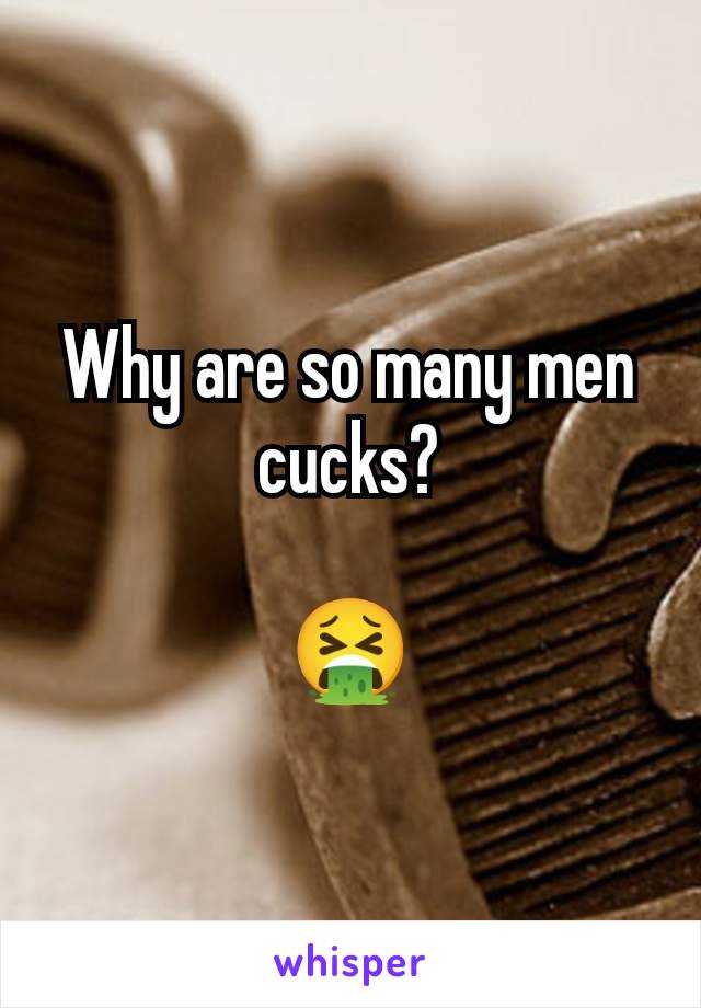 Why are so many men cucks?

🤮