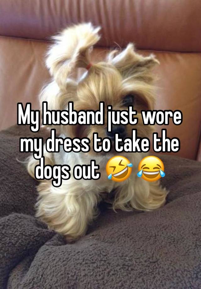 My husband just wore my dress to take the dogs out 🤣 😂