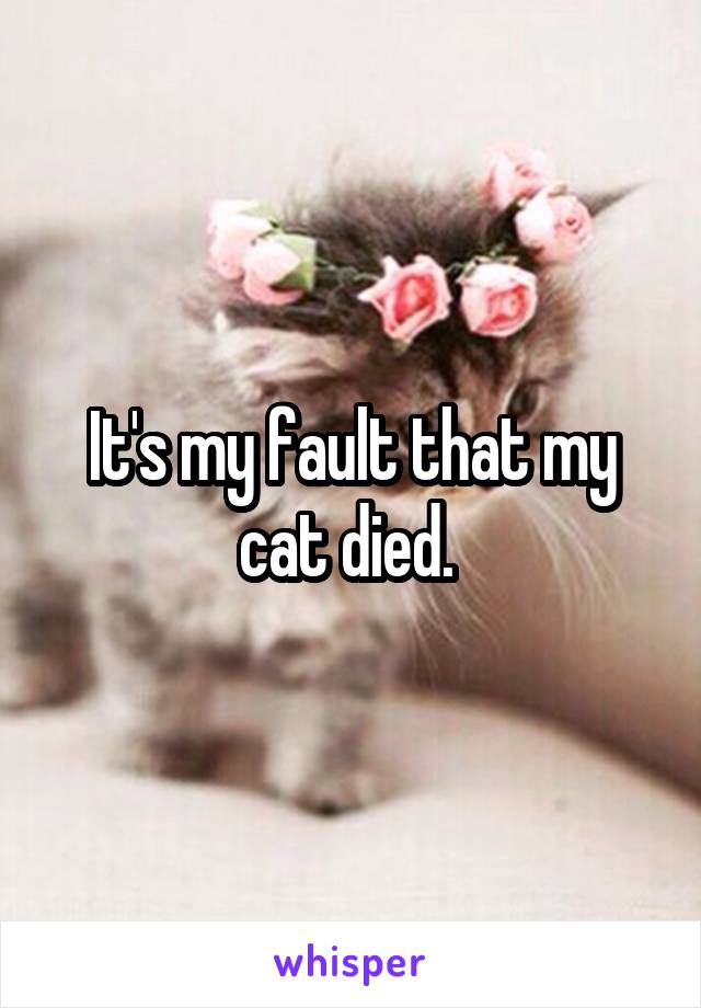 It's my fault that my cat died. 
