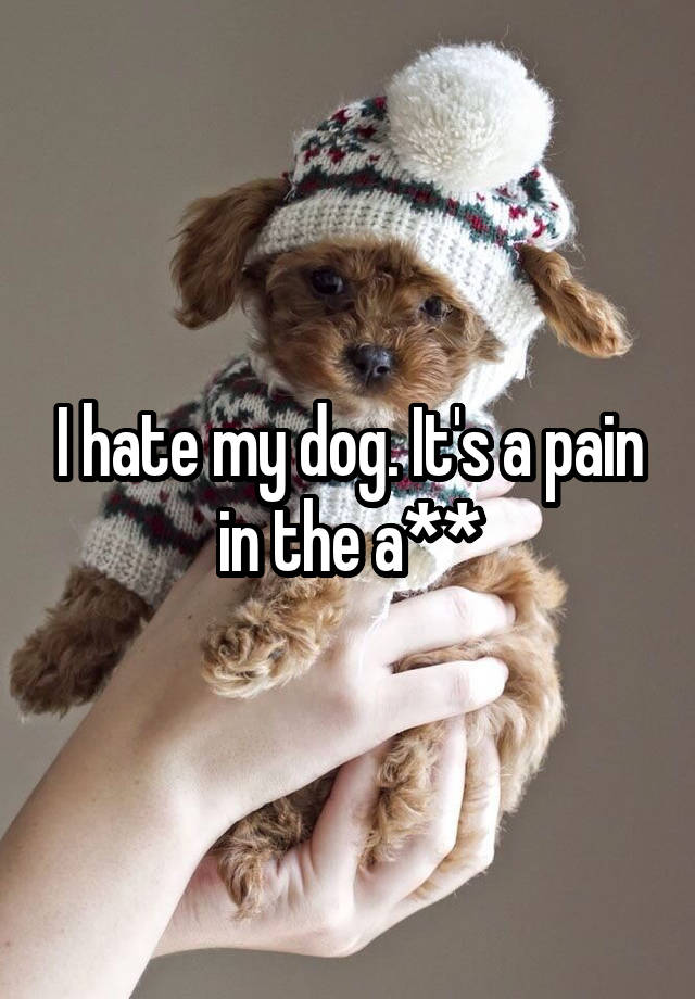 I hate my dog. It's a pain in the a**