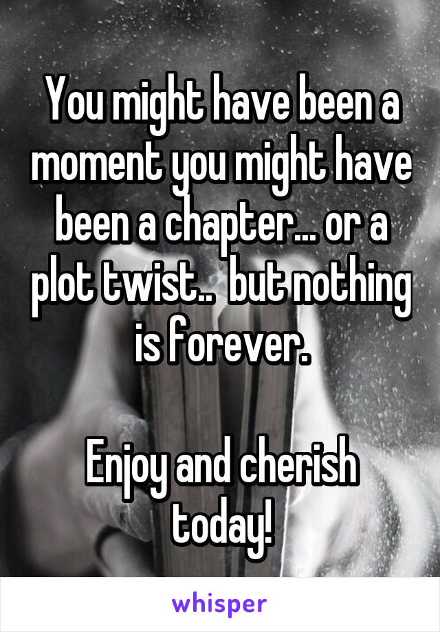 You might have been a moment you might have been a chapter... or a plot twist..  but nothing is forever.

Enjoy and cherish today!