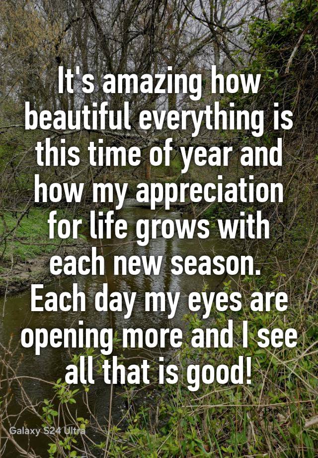 It's amazing how beautiful everything is this time of year and how my appreciation for life grows with each new season.  Each day my eyes are opening more and I see all that is good!