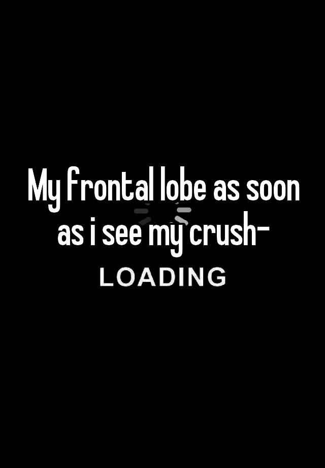 My frontal lobe as soon as i see my crush-
