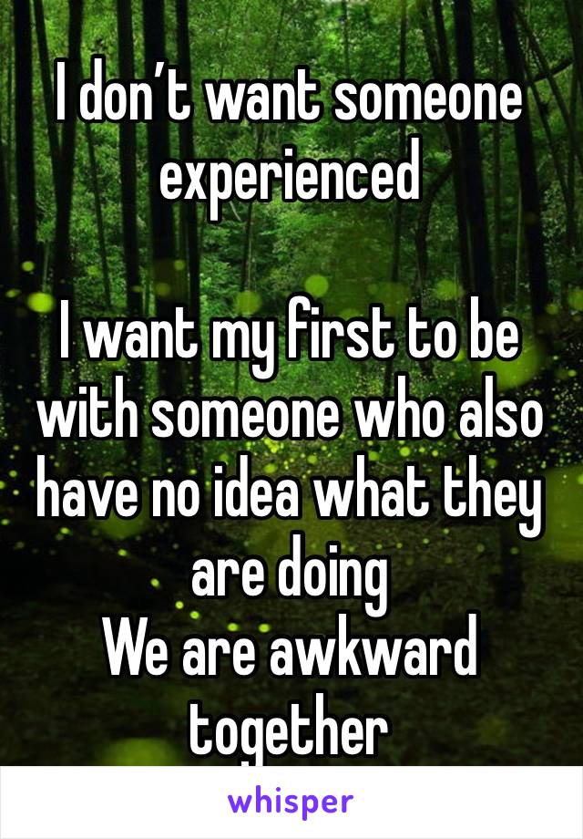 I don’t want someone experienced

I want my first to be with someone who also have no idea what they are doing
We are awkward together 