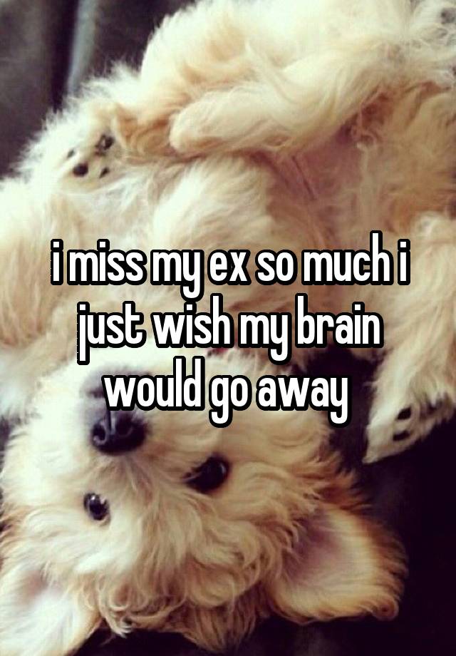 i miss my ex so much i just wish my brain would go away 