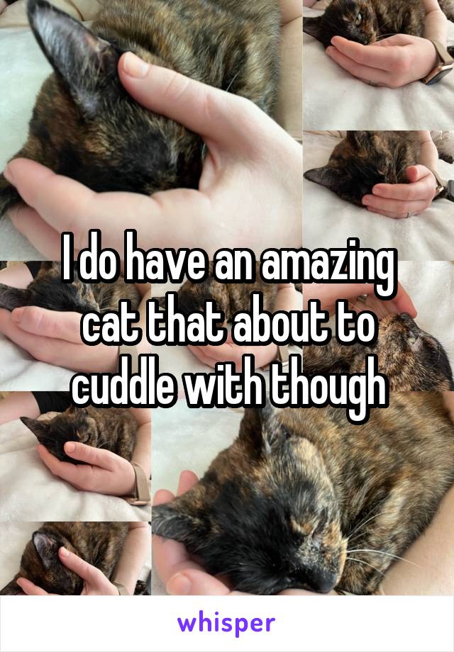 I do have an amazing cat that about to cuddle with though