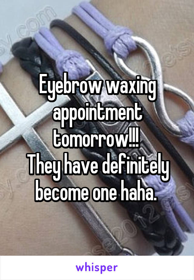 Eyebrow waxing appointment tomorrow!!! 
They have definitely become one haha. 