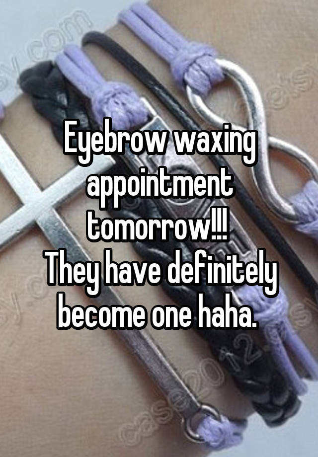 Eyebrow waxing appointment tomorrow!!! 
They have definitely become one haha. 