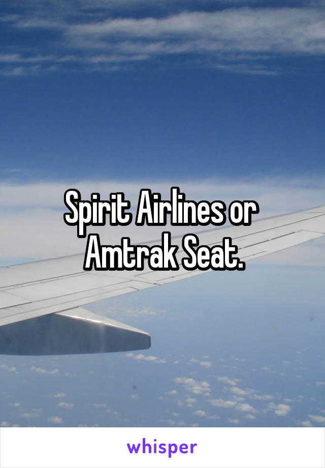 Spirit Airlines or 
Amtrak Seat.