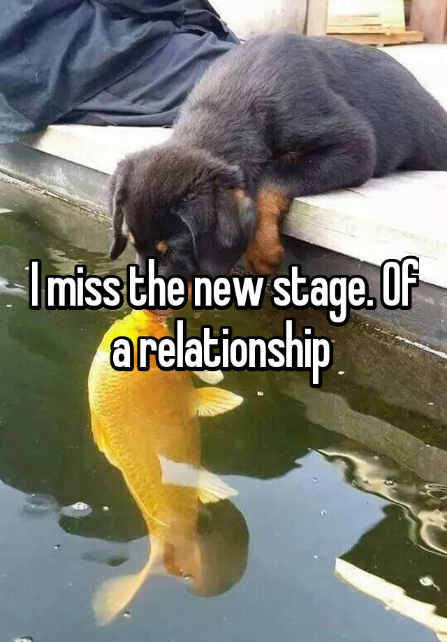 I miss the new stage. Of a relationship 