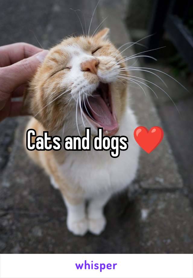 Cats and dogs ❤️