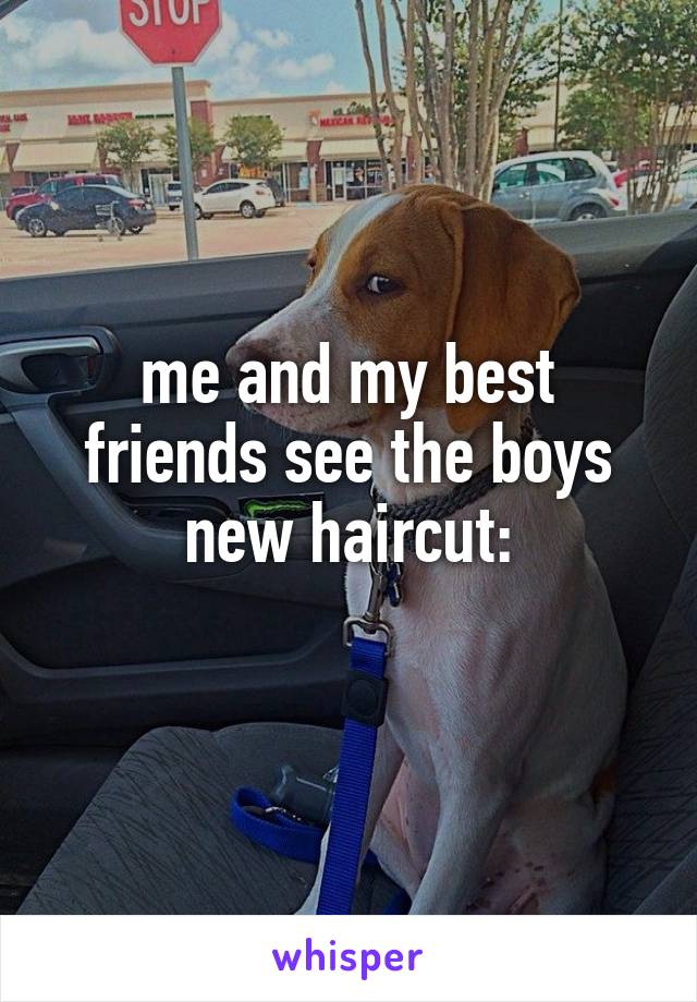 me and my best friends see the boys new haircut:
