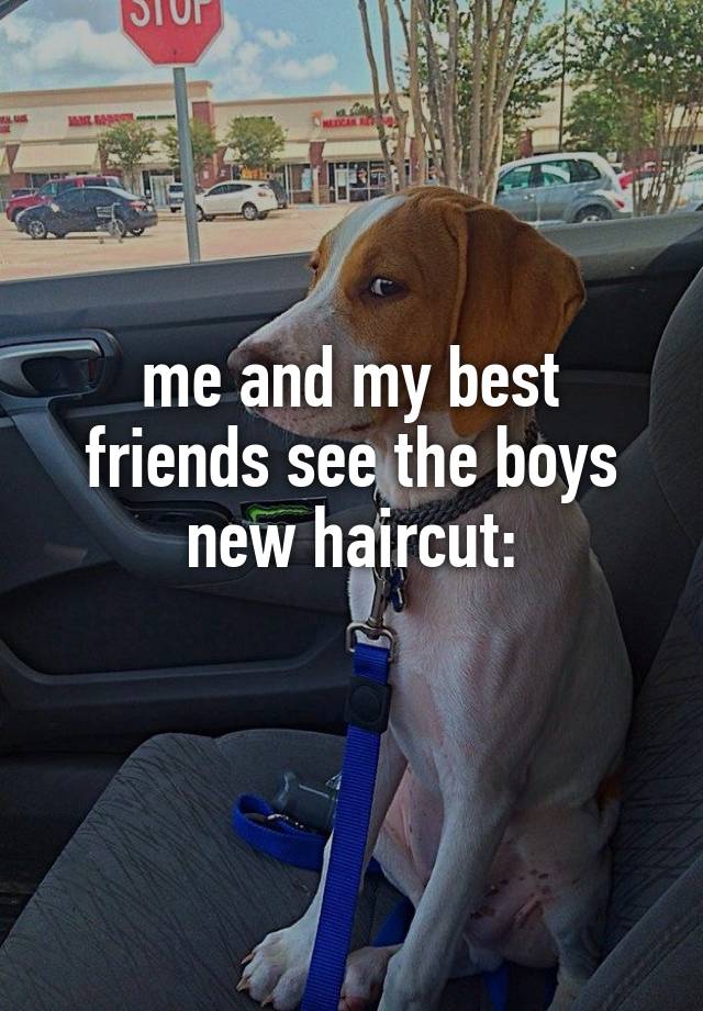 me and my best friends see the boys new haircut:
