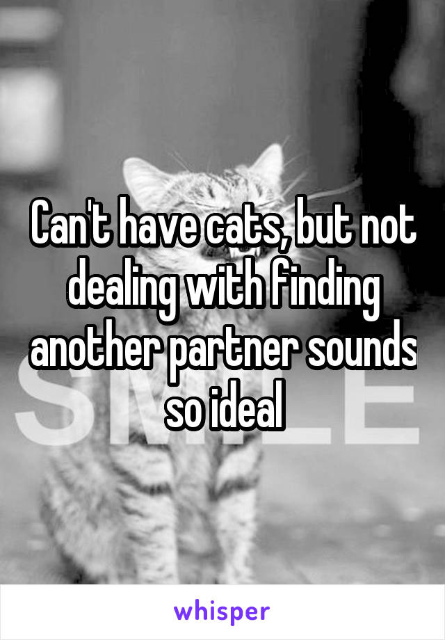 Can't have cats, but not dealing with finding another partner sounds so ideal