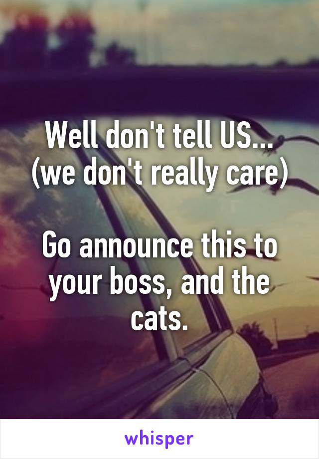 Well don't tell US...
(we don't really care)

Go announce this to your boss, and the cats.