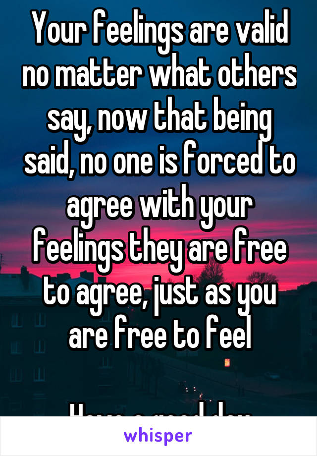 Your feelings are valid no matter what others say, now that being said, no one is forced to agree with your feelings they are free to agree, just as you are free to feel

Have a good day