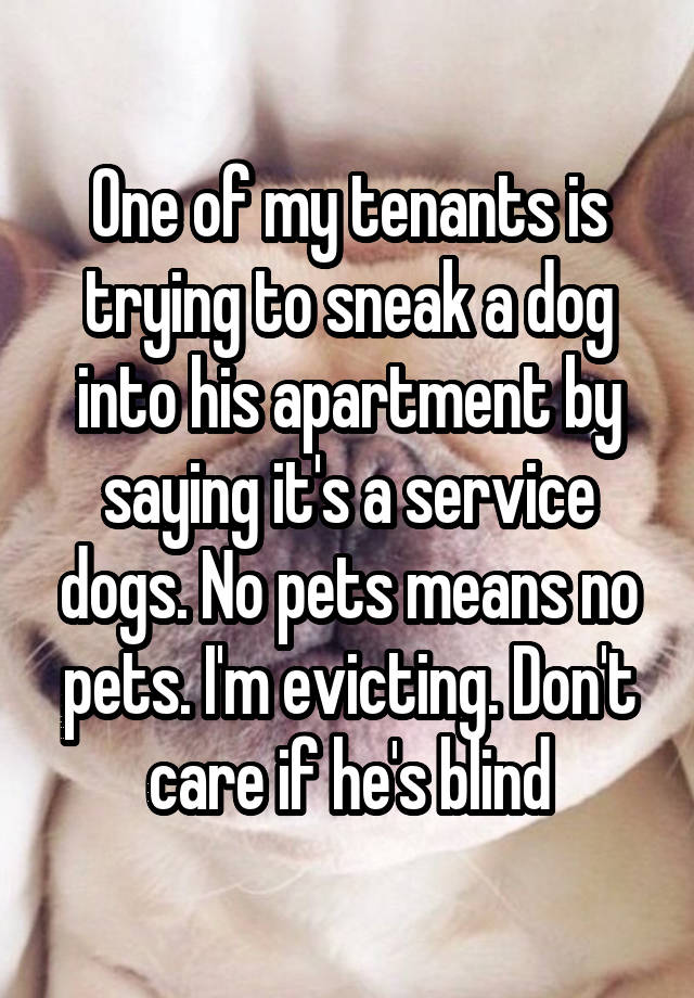 One of my tenants is trying to sneak a dog into his apartment by saying it's a service dogs. No pets means no pets. I'm evicting. Don't care if he's blind