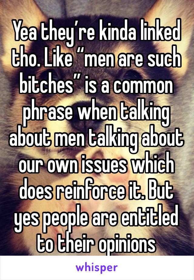 Yea they’re kinda linked tho. Like “men are such bitches” is a common phrase when talking about men talking about our own issues which does reinforce it. But yes people are entitled to their opinions