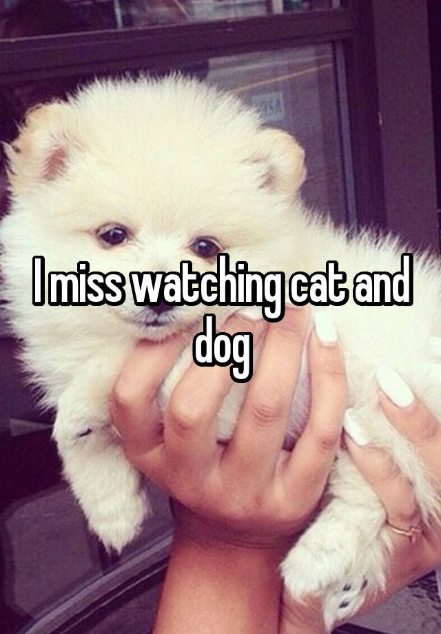 I miss watching cat and dog