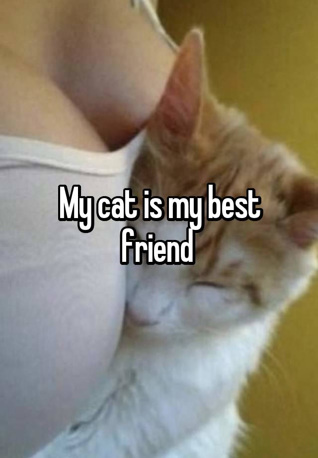 My cat is my best friend 