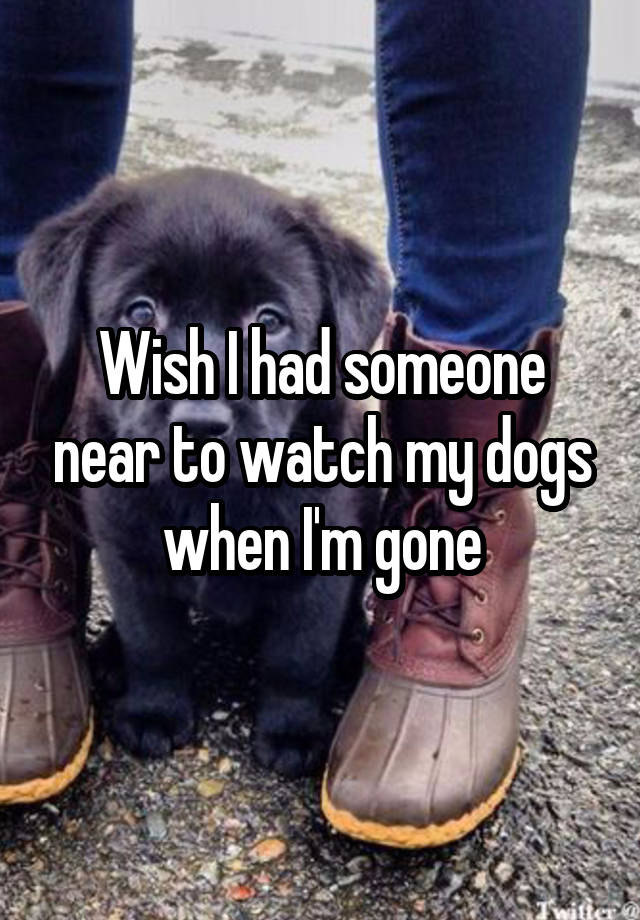 Wish I had someone near to watch my dogs when I'm gone