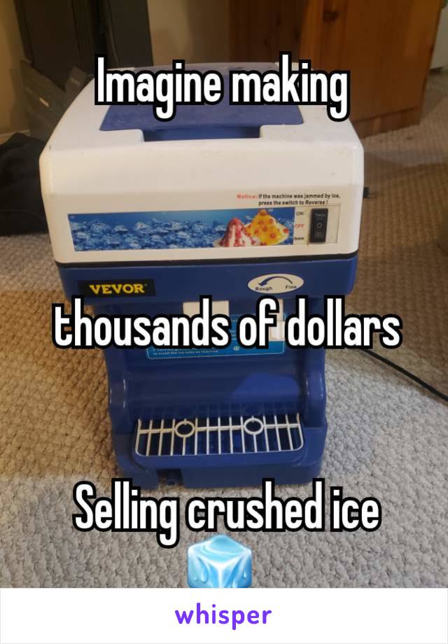 Imagine making



 thousands of dollars


 Selling crushed ice 🧊 