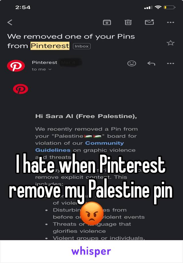 I hate when Pinterest remove my Palestine pin😡