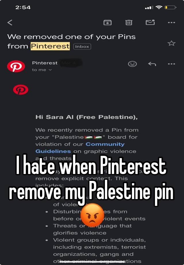 I hate when Pinterest remove my Palestine pin😡