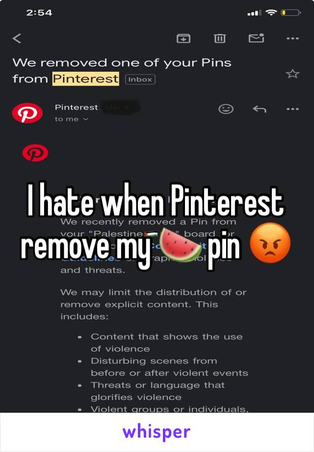 I hate when Pinterest remove my 🍉 pin 😡