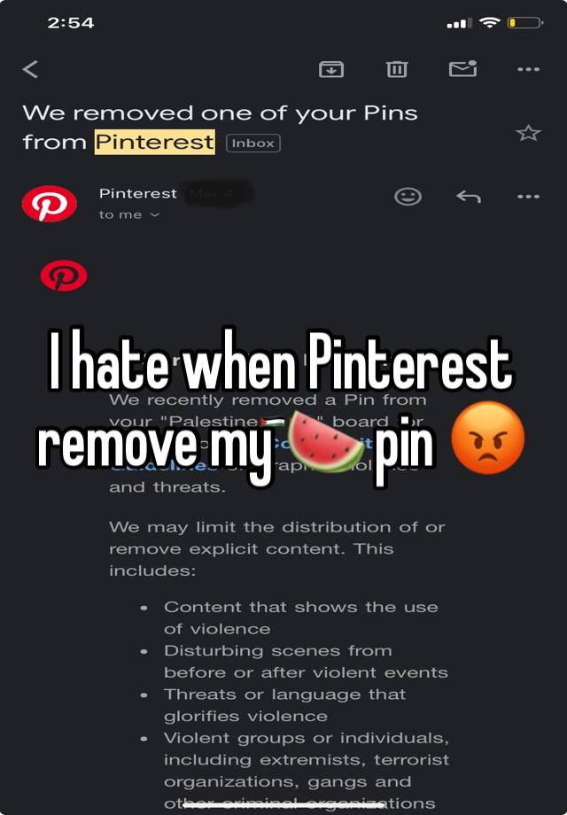 I hate when Pinterest remove my 🍉 pin 😡