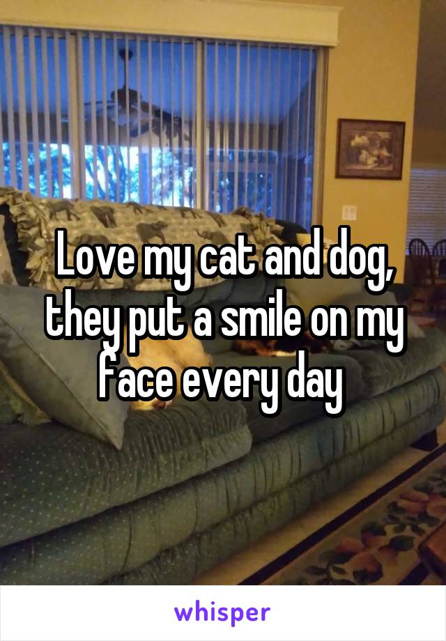 Love my cat and dog, they put a smile on my face every day 