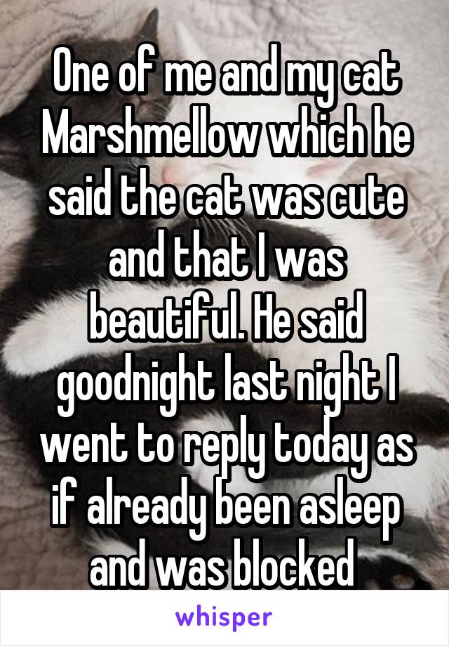 One of me and my cat Marshmellow which he said the cat was cute and that I was beautiful. He said goodnight last night I went to reply today as if already been asleep and was blocked 