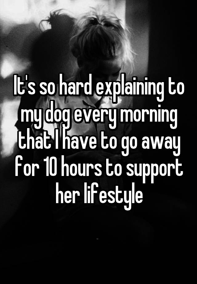 It's so hard explaining to my dog every morning that I have to go away for 10 hours to support her lifestyle