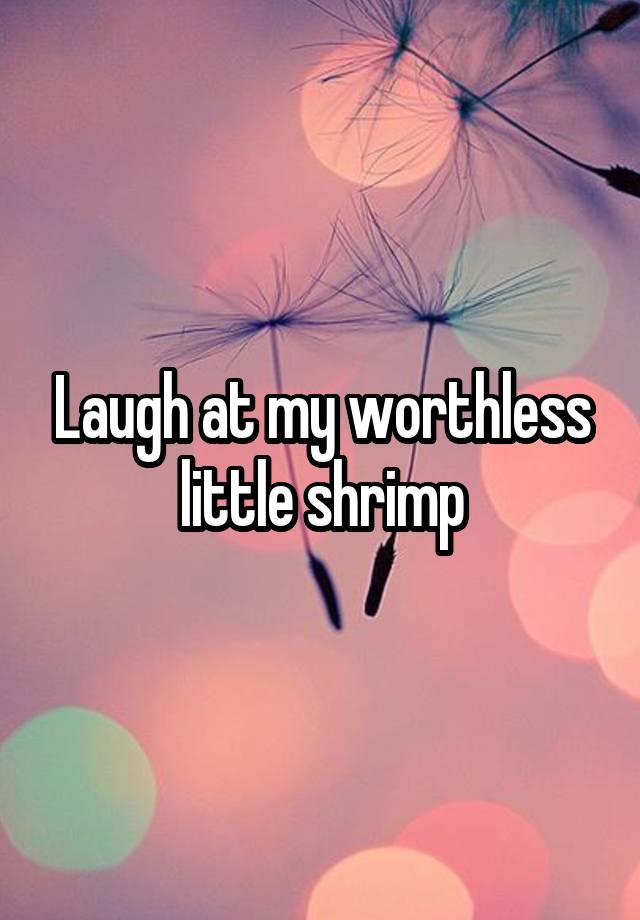 Laugh at my worthless little shrimp