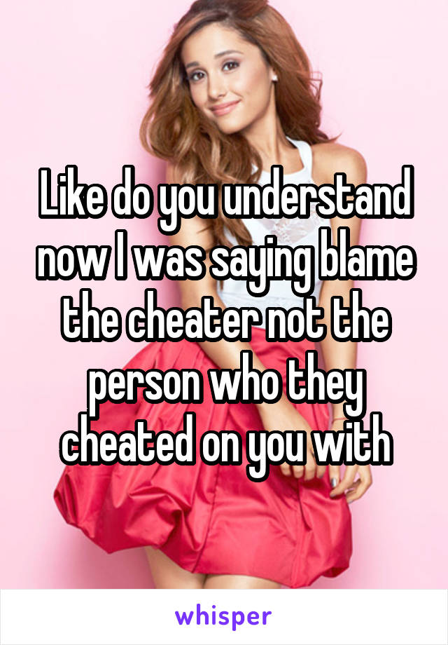 Like do you understand now I was saying blame the cheater not the person who they cheated on you with